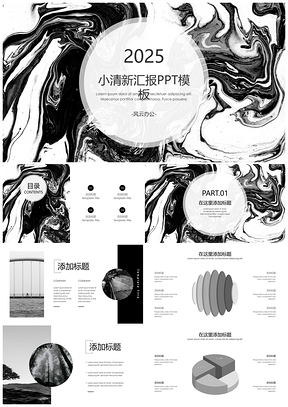 2025灰色黑白水彩大气简约汇报PPT模板