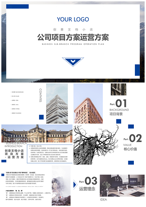蓝色公司项目方案运营方案PPT模板