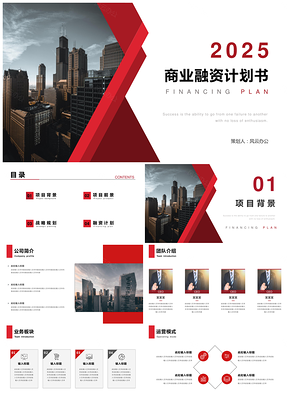 2025红色欧美商务项目融资计划书PPT模板