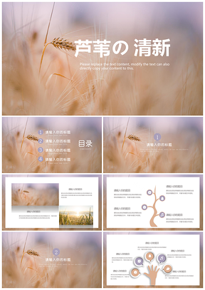 粉色蓝色小清新简约PPT模板
