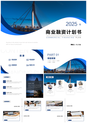 2025蓝色商务风项目融资计划书PPT模板