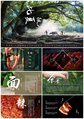 绿色农家中国风美食PPT模板