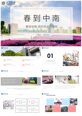 粉色中南大学兰粉PPT模板