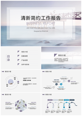 蓝色淡雅简约工作报告通用PPT模板