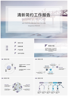 淡雅简约工作报告通用PPT模板