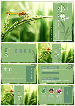绿色小满小满麦粒渐满小满主题PPT模板
