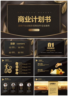 金色大氣上檔次商業(yè)創(chuàng)業(yè)融資計(jì)劃書(shū)PPT模板