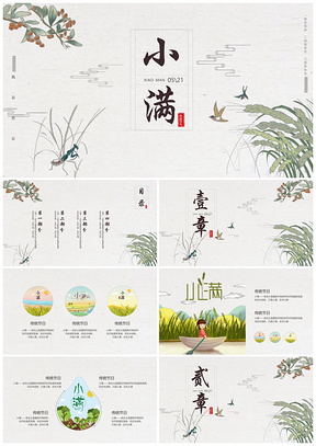 白色中国风传统节气小满PPT模板