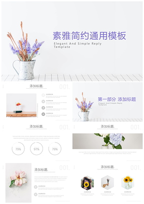 白色淡雅简约通用PPT模板