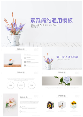 淡雅简约通用PPT模板