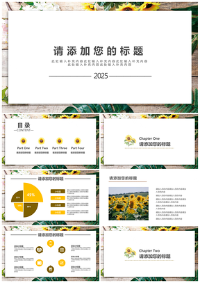 2025白色简约淡雅小清新通用PPT模板