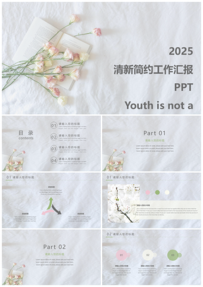 2025白色小清新简约风PPT模板