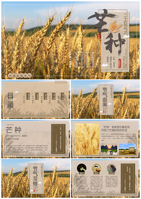 黄色芒种忙麦上场24节气芒种主题PPT模板