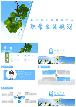 职业规划蓝色小清新大学生职业生涯规划PPT模板