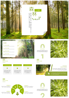 白色森系寂靜森林PPT模板