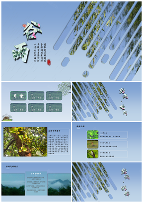 彩色中国风二四节气之谷雨介绍PPT模板
