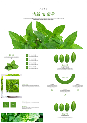 綠色小清新薄荷通用PPT模板
