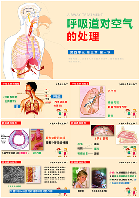 化学课件七年级下册呼吸道对空气的处理PPT模板