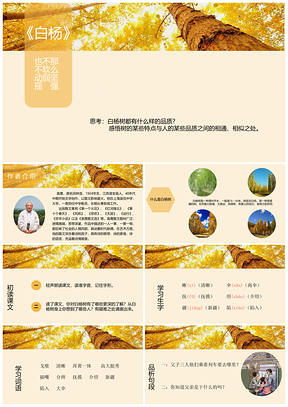 黄色语文课件白杨PPT模板