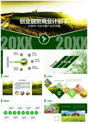 互联网农业农副产品创业融资生态圈商业计划书PPT模板