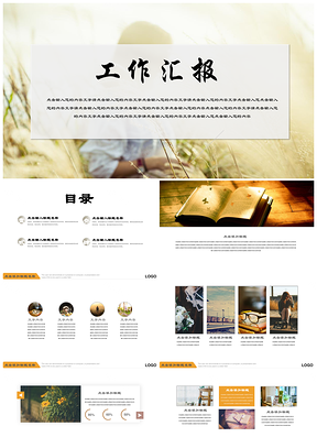 彩色小清新文藝工作總結(jié)匯報(bào)新年計(jì)劃PPT模板