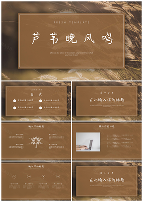 彩色蘆葦晚風(fēng)鳴小清新PPT模板