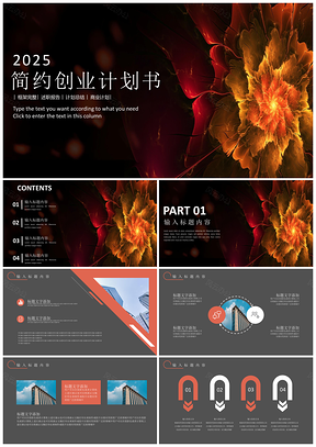 2025灰色简约创业计划书PPT模板