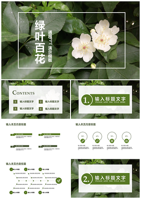 白色文艺通用PPT模板
