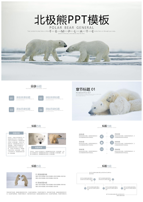 北极熊动物世界保护野生动物ppt模板