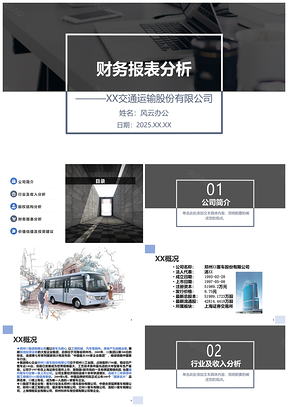 2025蓝色股份制上市公司财务报表分析报告PPT模板