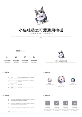 灰色猫咪宠物可爱有趣猫宠物店通用PPT模板