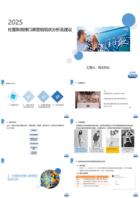 2025蓝色杜蕾斯网络口碑营销研究现状分析及建议PPT模板
