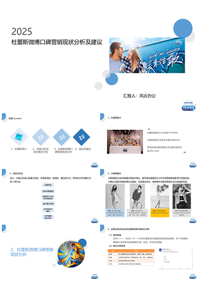 2018杜蕾斯网络口碑营销研究现状分析及建议PPT模板