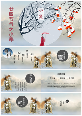彩色二十四节气之小寒PPT模板