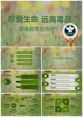 绿色禁毒宣传教育工作总结PPT模板