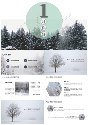 灰色1月你好文藝簡(jiǎn)約清新工作PPT模板