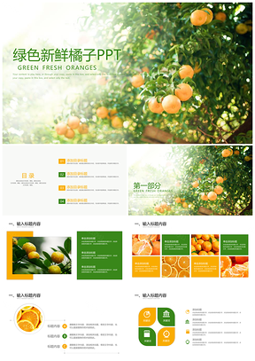 綠色新鮮樹(shù)枝上的橘子宣傳介紹PPT模板