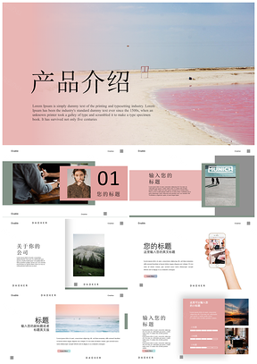 歐美小清新粉色產(chǎn)品介畢業(yè)答辯通用PPT模板
