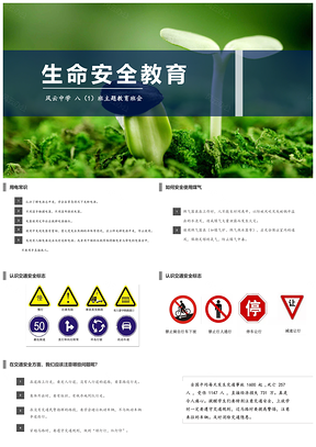 绿色生命安全主题教育班会课件PPT模板