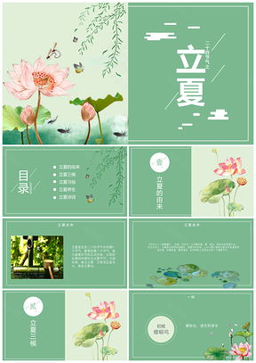 绿色小清新荷花荷叶立夏PPT模板