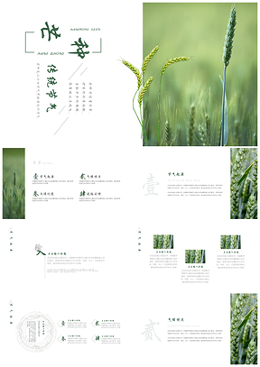 绿色中国风二十四节气芒种PPT模板