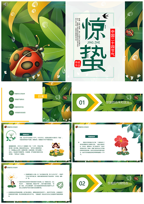 七星瓢虫惊蛰夏春昆虫PPT模板