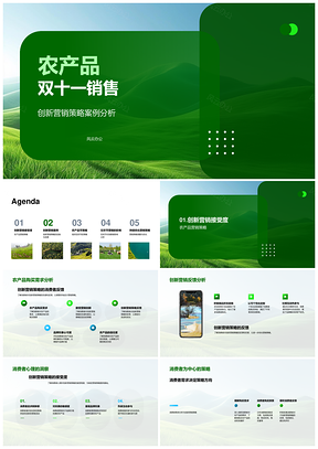 农产品双十一电商创新营销策略销售狂欢PPT模板