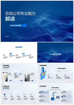 咨询公司专业能力业务案例发展历程服务解读PPT模板