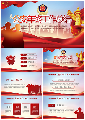 公安机关年度警务工作总结教育整顿案件汇报