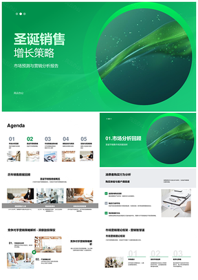 圣诞销售增长策略市场预测竞品消费行为产品价格促销