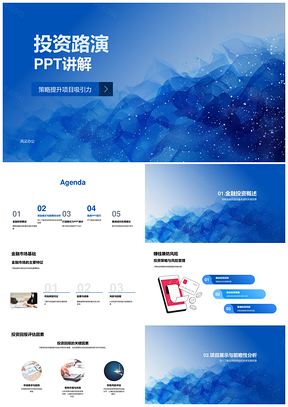 投资路演策略风险管理回报前景解析PPT