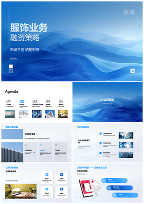 服饰融资策略市场共创透明财务战略合作计划