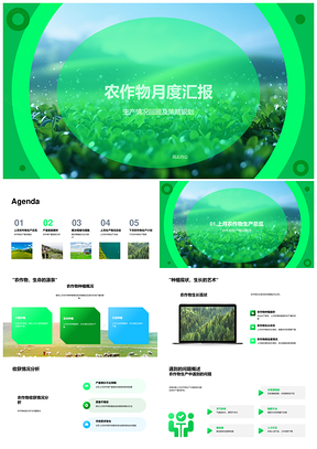 农作物月度生产汇报与策略规划农场经理