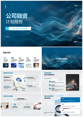 保险行业全球市场融资计划发展策略风险管理